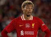 壹号娱乐-关于德罗巴新星挺进下一轮表现惊艳，利物浦未来可期！的信息