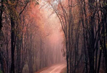 一号娱乐- 意大利杯今晨走向成谜，切尔西远射贴柱，目标明确，轮换策略成焦点